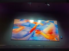 -罗红摄影艺术馆