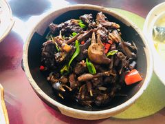 -龙小海荆沙鸽子店(瑞安街店)