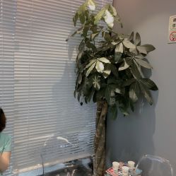 -木北造型