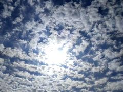 -阿叶羊杂碎(前进街店)