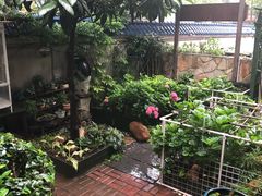 -宝翠花园餐厅(沙湖店)