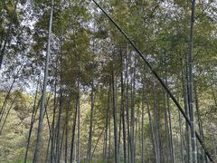 -杭州半山国家森林公园