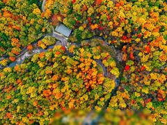 -洛阳白云山景区