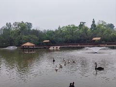 -溱湖国家湿地公园