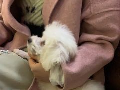 -脑洞先生非恐剧情密室(五一店)