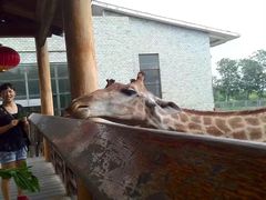 -石家庄市动物园