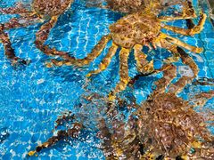 -三亚火车头万人海鲜广场