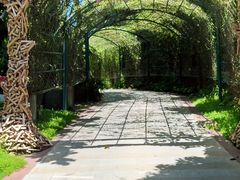 -三亚蜈支洲岛旅游区
