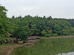 -象山森林公园