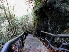 -祁门牯牛降观音堂风景区