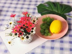 -红瓜子 影视后期 摄影摄像设计 新媒体运营技能培训(宝安校区)