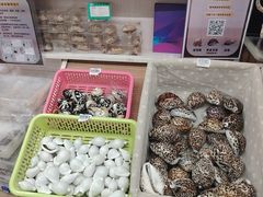 -青岛贝壳博物馆