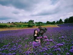 -紫颐香薰山谷景区