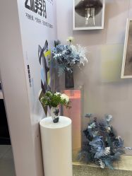 -南京医科大学友谊整形外科医院