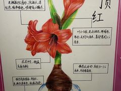 -上海昆虫博物馆