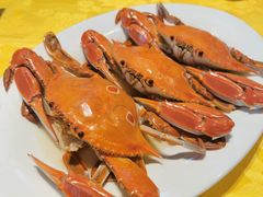 -老字号蛇口德记烧腊饭店·海鲜加工