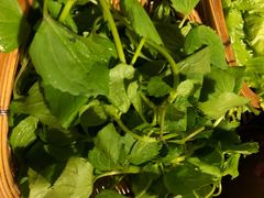 -阿斯牛牛十二餐厅•四季餐厅(民族大道店)