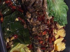 -川渝窈妹纸包鱼·齐齐哈尔烤肉