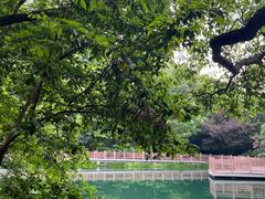 -桃花岭景区