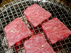 -300杯·和牛烧肉清酒专门店(廊里店)