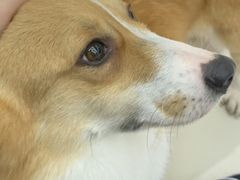 -怪兽屋·羊驼·猫咖·狗咖(俊华广场店)