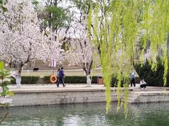 -元大都城垣遗址公园