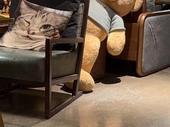 -咖法森林·咖啡  酒吧(天河店)