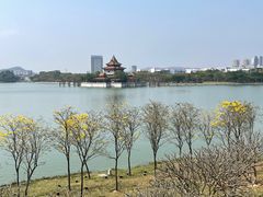 -顺峰山公园