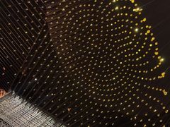 -君悦酒店·1881·北京烤鸭