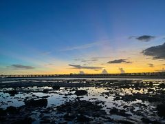 -宝安西湾红树林湿地公园