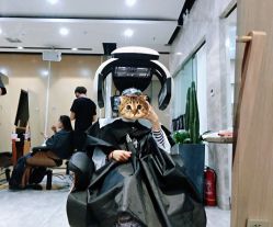 -IN STYLE·全国形象店