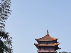 -景德镇陶阳里历史文化旅游区
