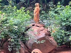 -云南野生动物园