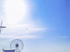 -奉贤海滩
