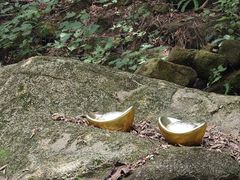 -广州白江湖森林公园