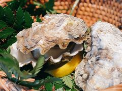 -Mr·Fish鱼鲜生海鲜放题(银泰in99店)
