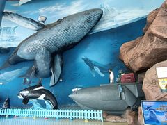 -海合安天津极地海洋公园