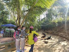 -西双版纳勐泐文化旅游区