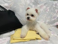 -宠物家(角门东店)
