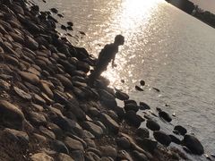 -上海月湖雕塑公园