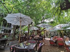 -Fern Forest Cafe