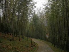 -广州市石门国家森林公园