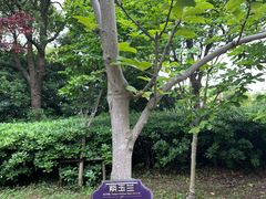 -上海吴淞炮台湾国家湿地公园