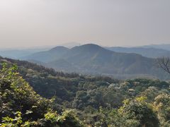 -黄埔油麻山森林公园