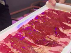 -杨记齐齐哈尔烤肉(总店)