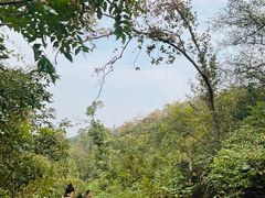 -青龙山国家森林公园