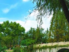 -昆山城市生态森林公园