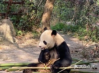 下午就更不用说了，睡的更沉