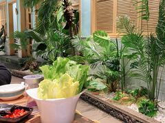 -春润大地海南椰子鸡(沙井京基百纳广场店)
