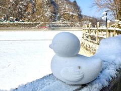-秦岭终南山世界地质公园翠华山景区